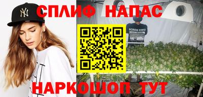 сатива Славгород