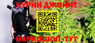 сатива Славгород