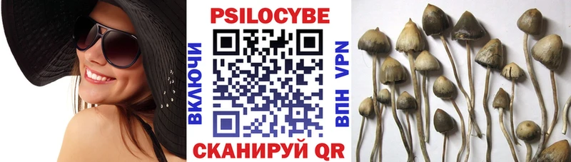 Галлюциногенные грибы Psilocybine cubensis  Радужный 