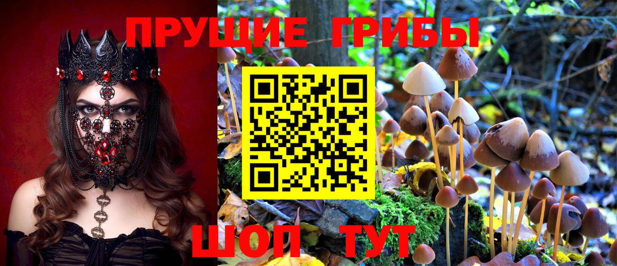 Псилоцибиновые грибы Cubensis Радужный